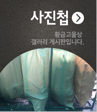 사진첩